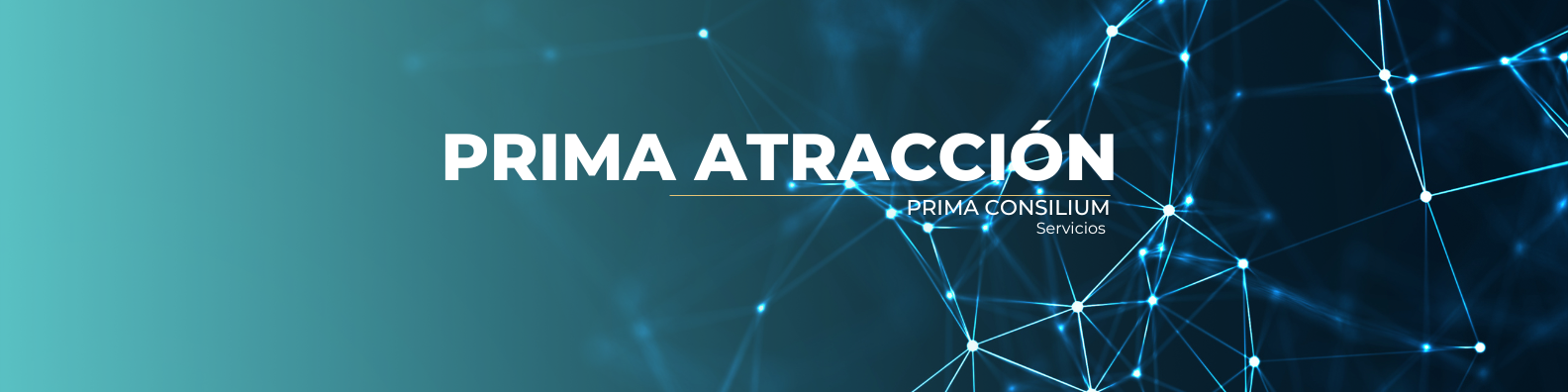 blue and white simple designer linkedin banner (2)