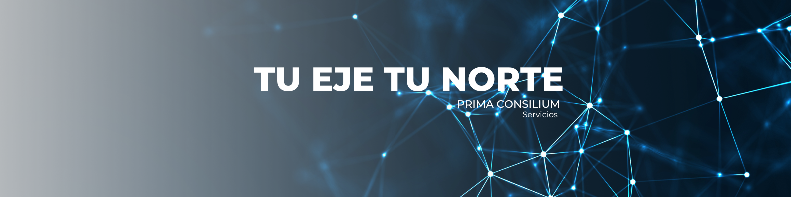 blue and white simple designer linkedin banner (3)